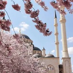 Ahbab-ı Uhrevi 📖