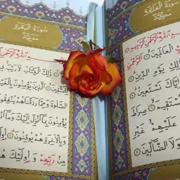 Ayet, Hadis ve Hikmetli Sözler❤️