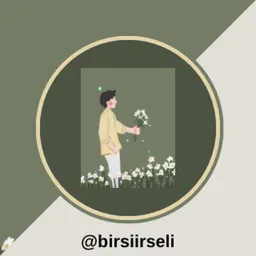 BİRSİİRSELİ