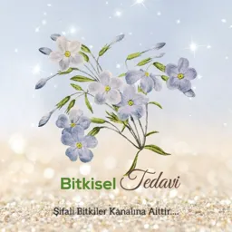 Bitkisel Tedavi