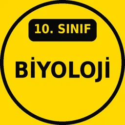 10. Sınıf Biyoloji