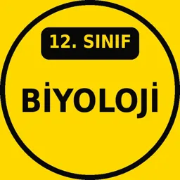 12. Sınıf Biyoloji
