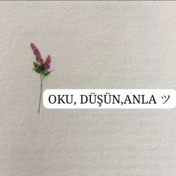 OKU, DÜŞÜN, ANLAツ