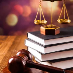 Hukuk 1.sınıf ders notları-pdf