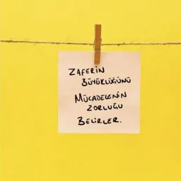 SINAVA DAİR BİNLERCE BİLGİ