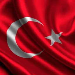 Türkiye Forex ve Kripto Yatırımcı Topluluğu