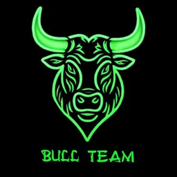 BULL TEAM GROUP VPN