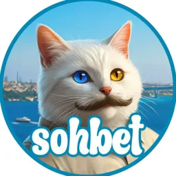 vankedisicoin - sohbet