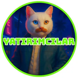 vankedisicoin - yatırımcılar